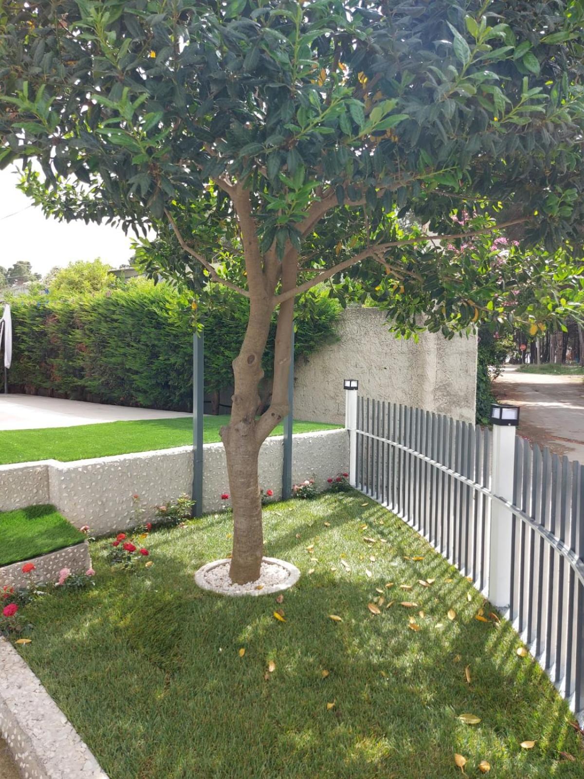 Vila Green Relax Vlorë Exterior foto